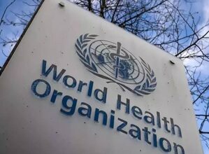 European health authorities urge greater WHO support