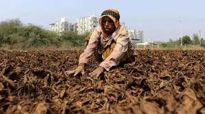 K’taka JD(S) thanks PM Modi for helping tobacco farmers hit by excess rains