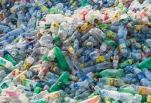 Australian researchers call for action to reduce burning of plastic in developing nations