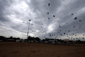 Heavy rain alert for TN’s Delta districts, Collectors asked to take precautions