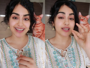 Adah Sharma says she likes ‘sanskaari guys’