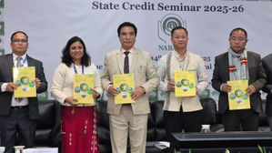 NABARD’s interventions bring transformative changes to rural communities: Mizoram CM