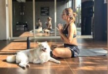 Malaika celebrates 10 years of her ‘most handsome’ pet Casper: The centre of our lives