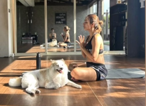 Malaika celebrates 10 years of her ‘most handsome’ pet Casper: The centre of our lives