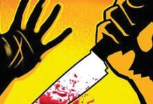 Gujarat: Husband kills wife after heated argument