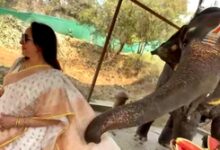 Hema Malini enjoys an adorable encounter with a baby elephant