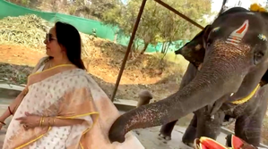 Hema Malini enjoys an adorable encounter with a baby elephant