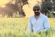 Sunny Deol prepares for Baisakhi in the fields, embraces his ‘Jaat’ roots