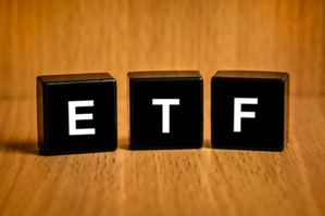 India-focused offshore funds, ETFs clock record net inflow of .4 billion in 2024