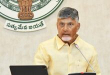 VCs appointed purely on merit basis, says Andhra Pradesh CM