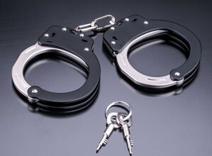 Two juveniles nabbed for cyber fraud in Rajasthan’s Alwar