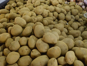 Potato growers in Haryana included in Bhavantar Bharpai Yojana