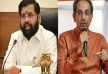 ‘Wolf doesn’t become tiger by wearing its skin’: Eknath Shinde takes dig at Uddhav Thackeray