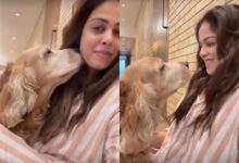 Genelia celebrates 11 years of her fur baby: Thank you for choosing me to be your Aai