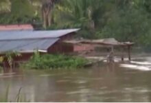 Death toll from downpours in Bolivia rises to 37