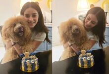 Ananya Panday celebrates first birthday of her ‘baby jaan’ Riot