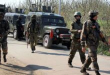 No casualty in terrorist firing in J&K’s Akhnoor sector, says Army