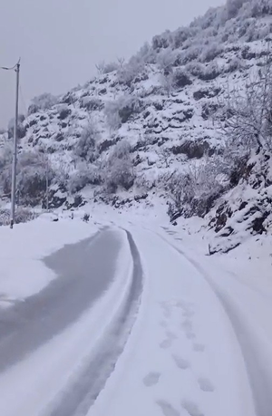 42 workers trapped in Uttarakhand avalanche, massive rescue operations underway