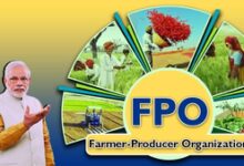 30 lakh farmers come on board Centre’s FPO scheme to boost earnings