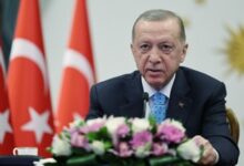 Forced displacement in Gaza ‘pure brutality’: Erdogan