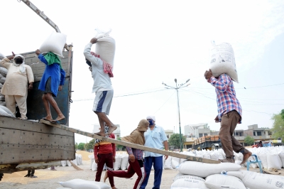 Resolve wheat supply crisis, Punjab’s roller flour millers urge Centre