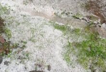 Winter’s last kick: Hailstorm in Jhunjhunu districts blankets fields with layer of white