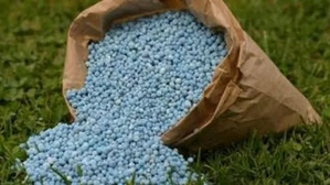 Govt giving extra fertiliser subsidy to farmers amid rise in global prices: Minister