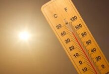 Extreme heat set to double heart disease burden in Australia by 2050