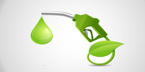 20 pc ethanol-blended petrol: No major issues with vehicle performance, says govt