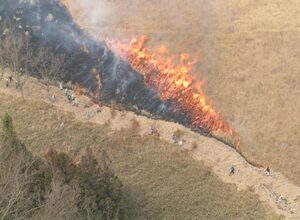 Rain helps contain wildfire in Japan’s Iwate