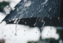 Orange, Yellow alerts sounded for several TN districts as heavy rain forecast (Lead)