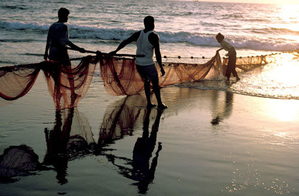 TN govt to hold meet with fishers on final Coastal Zone Management Plan draft