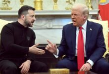 Democrats criticise Trump for public showdown with Zelensky