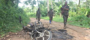 IS-related ADF kills 23 civilians in eastern Congo, kidnaps dozens: UN