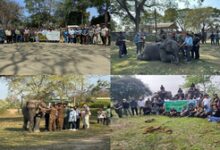 International Elephant Health Care Workshop held in Kaziranga