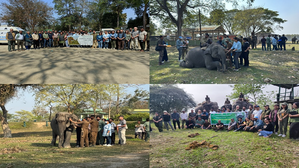 International Elephant Health Care Workshop held in Kaziranga