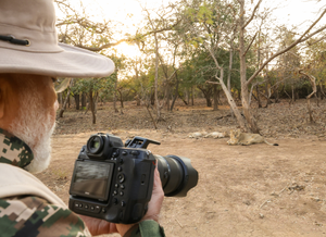 Population of Asiatic lions in Gir witnessing steady rise, says PM Modi after lion safari