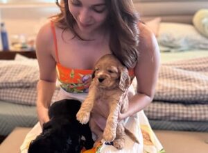 Kiara Advani radiates happiness while playing with puppies during pregnancy