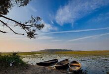 Gujarat: Project approved for desilting & remolding of Kenwal Lake in Anand