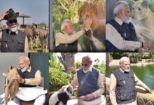 PM Modi visits Vantara – wildlife rescue, rehabilitation and conservation centre in Gujarat