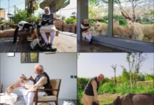 PM Modi’s love for animals goes back a long way, and they love him back