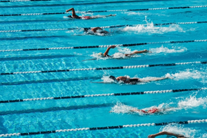 409 athletes from 13 states compete in swimming championship in Gandhinagar