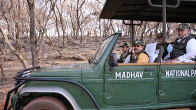 MP: CM Yadav, Union Minister Scindia release tigress in Madhav National Park