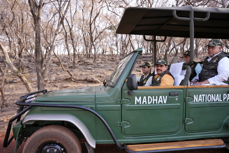 MP: CM Yadav, Union Minister Scindia release tigress in Madhav National Park