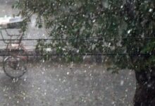 MeT department predicts rain, hailstorm in parts of Rajasthan on Holi