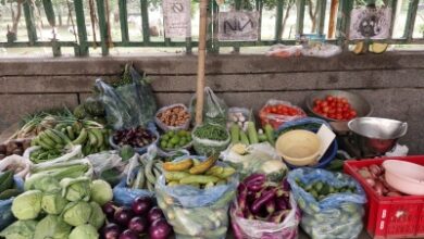 India’s retail inflation eases to 7-month low of 3.6 per cent in February