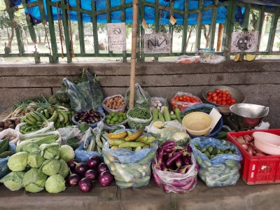 India’s retail inflation eases to 7-month low of 3.6 per cent in February