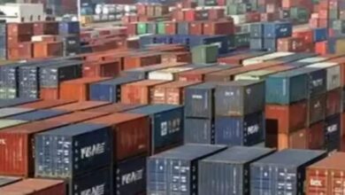 India outperforms global trade average as services drive exports: UNCTAD