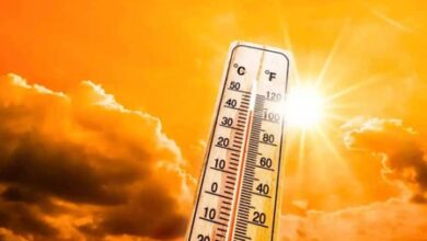 TN to experience temperature surge, IMD issues heat advisory