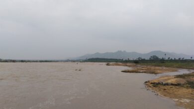 TN to build dam across Palar river at cost of Rs 70 crore: Water Resources Minister Duraimurugan